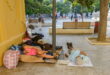 What to do about Malaga’s growing homeless problem