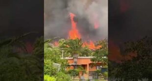 WATCH: Wildfire comes ‘within four metres’ of burning through the border of luxury Tarifa hotel