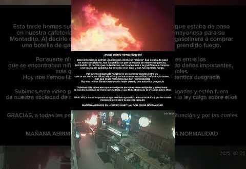 WATCH: Unbelievable moment man sets bar alight in southern Spain because ‘they wouldn’t serve him mayonnaise’ 