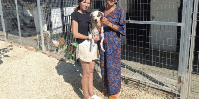 Council pledges to help dog shelter close