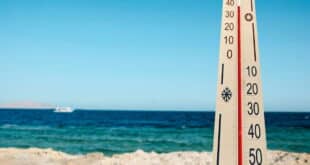 Spain’s Mediterranean water temperatures soar, jellyfish warnings grow