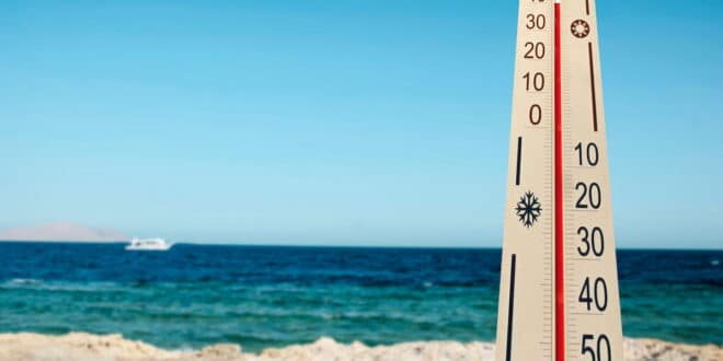 Spain’s Mediterranean water temperatures soar, jellyfish warnings grow