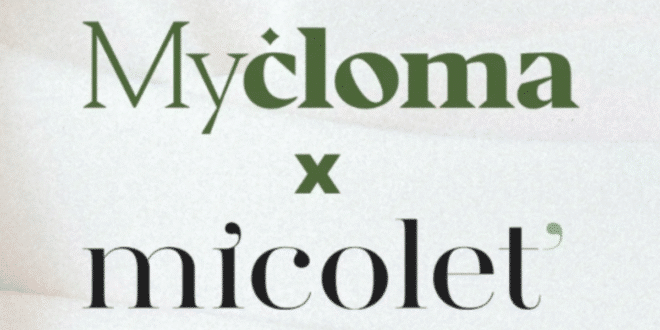 Second-hand fashion: Micolet expands in Portugal by acquiring MyCloma