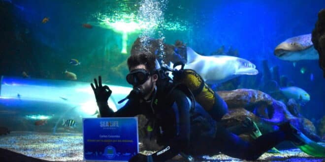 Sea Life Benalmadena celebrates 30 years of marine history, passion, and conservation