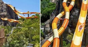 Refreshed, more exciting Aqualand