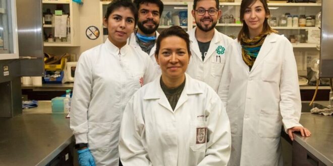 The woman that is saving women