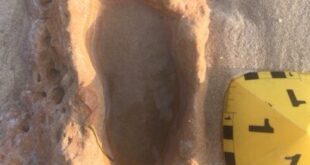 Footloose: Modern humans following in the footsteps of Neanderthals on Spanish beach