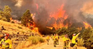 Spain's allies ride in: Germany, Italy and even Slovakia send firefighters, planes and helicopters - as flames reach Picos de Europa beauty spot