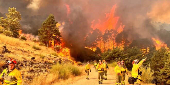 Spain's allies ride in: Germany, Italy and even Slovakia send firefighters, planes and helicopters - as flames reach Picos de Europa beauty spot