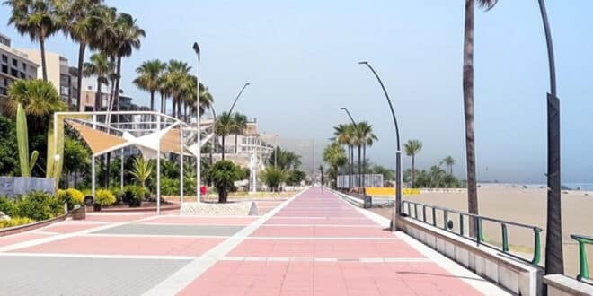 Alarm as wildfire smoke reaches Costa del Sol