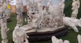 Police unveil one of Spain’s biggest-ever seizures of illegal elephant ivory items