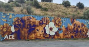 ACE SHIN Shelter loves Japi’s heartfelt mural