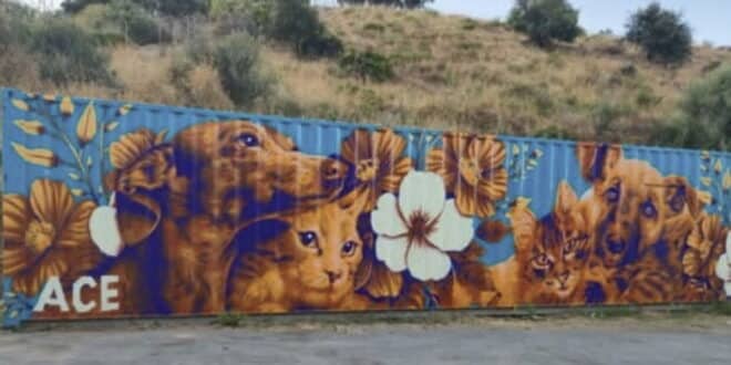ACE SHIN Shelter loves Japi’s heartfelt mural