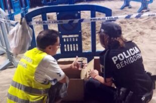 Loggerhead turtles hatch on Benidorm beach in party-going area of resort