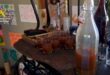 Spiritual retreat in Costa Blanca villa supplied psychotropic drugs to high-paying guests