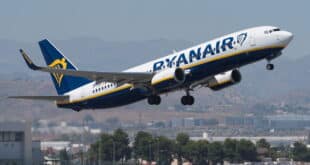 Unusual visitor diverts flights from Malaga airport
