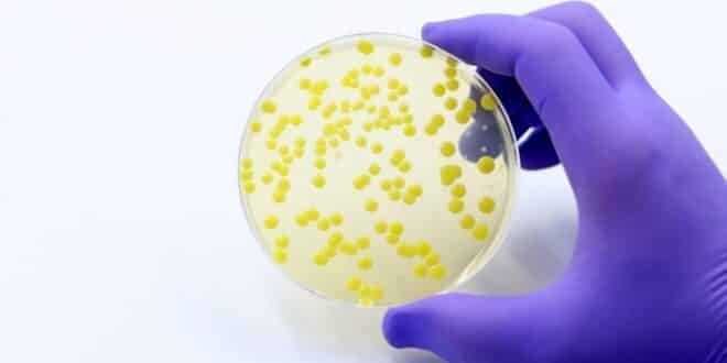 AI creates new antibiotics to fight drug-resistant superbugs