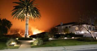 What to do if you face a wildfire while driving