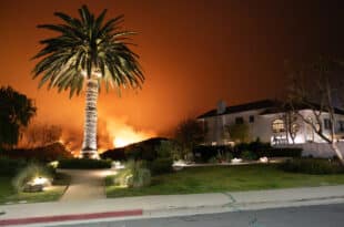 What to do if you face a wildfire while driving