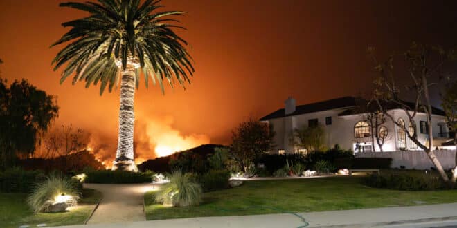 What to do if you face a wildfire while driving