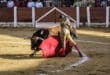 Bullfights allowing children in attendance are back in Palma