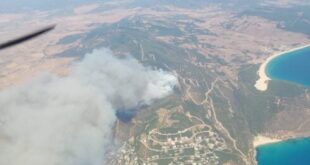 Tarifa wildfires update: Lighter found in ashes of devastating blaze that forced evacuation of over 2,000 people from campsites and beach resorts
