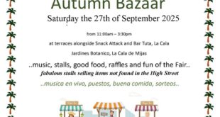 Lions Autumn Bazaar - CSN News