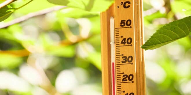 “Don’t go outside!” : Extreme heat triggers chaos at Europe’s favourite destinations