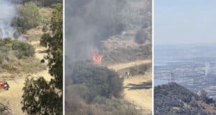 Wildfire breaks out in Marbella