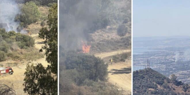 Wildfire breaks out in Marbella
