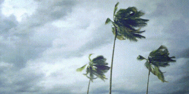 Gale Force Winds On Tuesday - CSN News