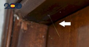 Crafty burglars used glue threads on front doors to check if Costa Blanca homes were unoccupied