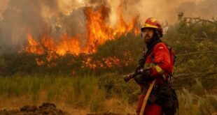 Spain among hardest hit as extreme heat killed over 62,000 people across Europe last year, study reveals