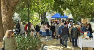 Proyecto Hombre starts community programmes