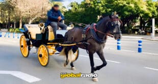 Malaga Halts Horse Drawn Carriage Rides