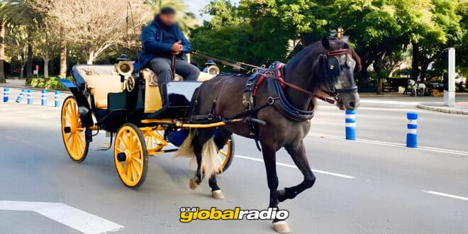 Malaga Halts Horse Drawn Carriage Rides