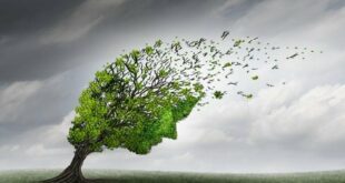 Yellow alert for strong winds while late October mini-heatwave continues with ‘tropical nights’ on Costa Blanca