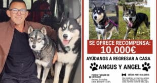 €10,000 reward for finding two missing huskies in Guadalhorce Valley