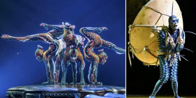 Cirque du Soleil to return to Malaga with KURIOS – Cabinet of Curiosities