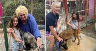 A day with rescue dogs: A heartwarming learning experience for children at ACE-SHIN, Mijas