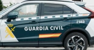 Man arrested after brutally killing much-loved street cat in Gran Canaria