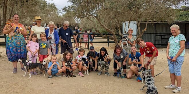 A.R.C.H Autumn Festival brings nationalities together for all the fun of a country fete