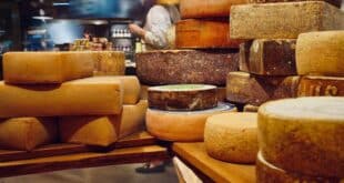 Eating cheese once a week may lower dementia risk, study finds