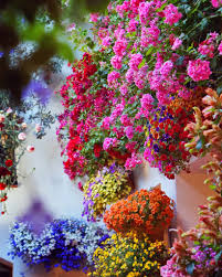 Cordoba's dazzling Flora festival returns