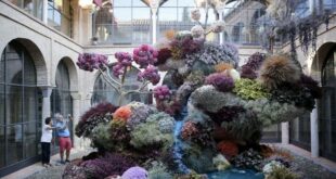 Cordoba's massive flower festival transforms city into garden of art and blooms