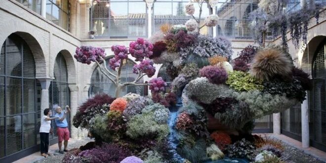 Cordoba's massive flower festival transforms city into garden of art and blooms