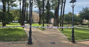 Gusts of up to 111 km/hour recorded during yellow weather alert in Valencia region.