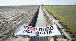 Lifeline thrown: Illegal farms to be axed in bid to rescue Spain’s vital ecoreserve Doñana’s thirsty wetlands