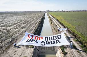Lifeline thrown: Illegal farms to be axed in bid to rescue Spain’s vital ecoreserve Doñana’s thirsty wetlands