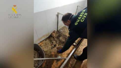 One arrested after police ‘discover 250 dead animals in illegal breeding centre’ in northern Spain